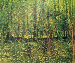 Vincent van Gogh: Bosco, Amsterdam Rijksmuseum V. V. G.